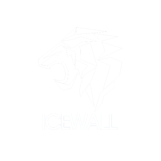 ICEWALL 신입생 CTF